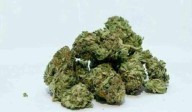 Rachakonda Police bust interstate drug racket in Hyderabad, seize ganja worth Rs. 6.2 cr