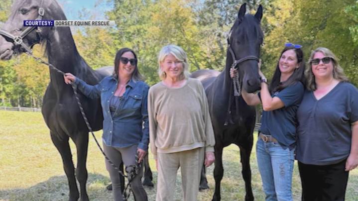 Martha Stewart adopts two local rescue horses