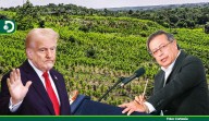Estados Unidos descertifica a Colombia en la lucha contra las drogas, anuncia el Presidente Petro