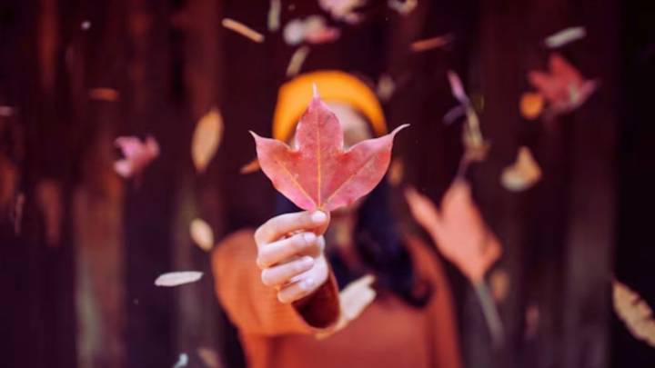 ¿Cuándo es el equinoccio de otoño y cómo prepararte energéticamente para recibirlo con abundancia?