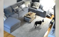 Woman 'Hesitant' To Let Cat and Dog Play Together, Then She Checked Pet Cam