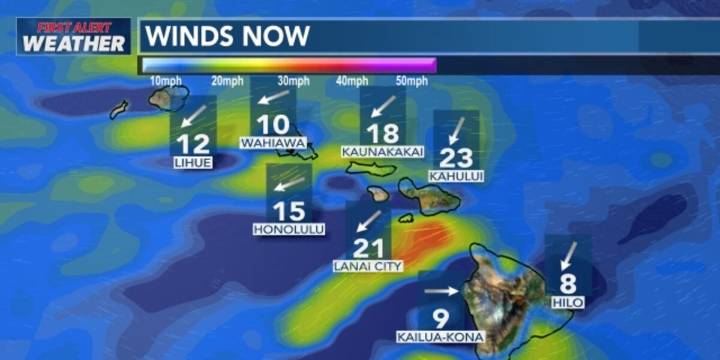 First Alert Forecast: Trade winds are back with drier conditions