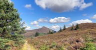 Dream job for couple on Scottish estate with £80k salary and cottage included