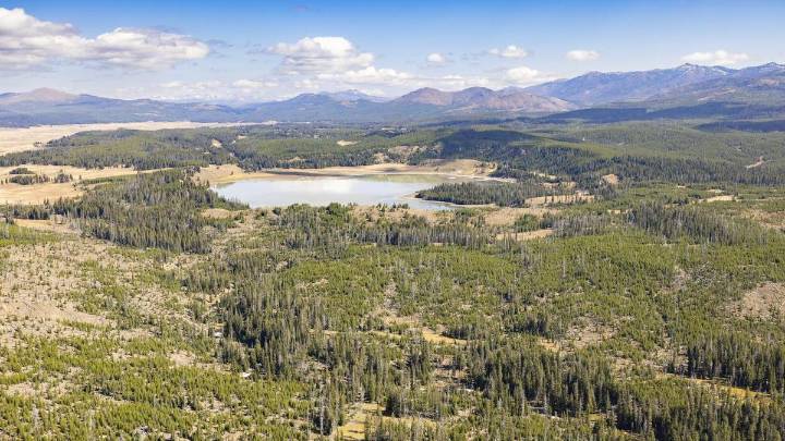 Bear attack on hiker closes trail in Yellowstone