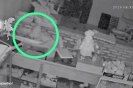 Ladrón robó en conocida panadería, pero quedó grabado en las cámaras