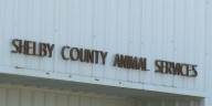 Shelby County Humane Society raises more than half of $50,000 goal to help with payroll