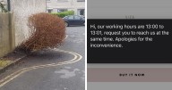 People Are Sharing Priceless “Not My Job” Moments Caught In Pictures And Here Are 41 Of The Laziest Ones (New Pics)