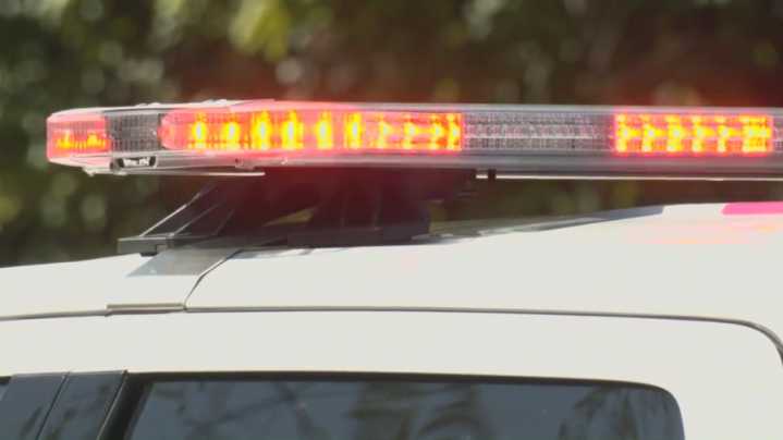 Horrifying discovery at crash scene: Reports