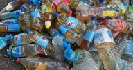 Amazon depot's huge pile of urine-filled bottles shows reality of "nightmare" job