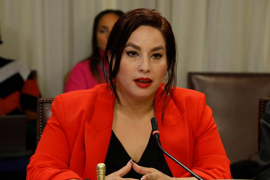 Diputada Arce se refiere a la muerte de su hermano en el Monumental y cuestiona seguridad en los estadios