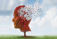 Día Mundial del Alzheimer 2025: una fecha para recordar, cuidar y actuar