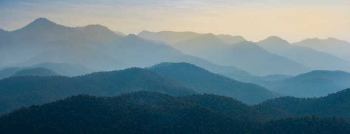 Health Buzz: Holistic health and the immune system