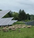 Community Engagement Meeting On Allenford Solar Farm Thursday