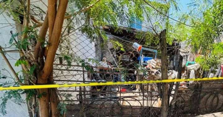 Muere bebé de seis meses tras ataque de perros en Matamoros, Tamaulipas