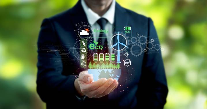 Sustentabilidad: la nueva estrategia empresarial para la transformación social