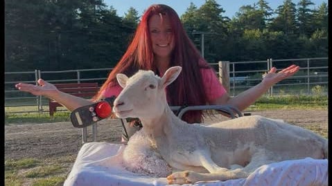 Dartmouth's Kiki the disabled sheep goes viral after Washington Post spot
