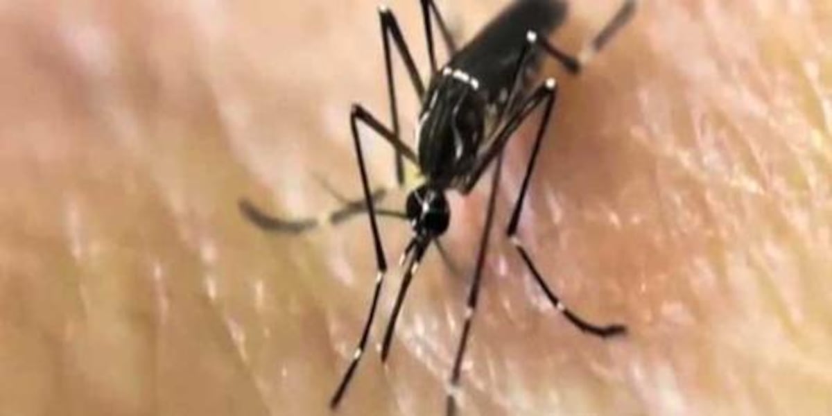 Green River District advises residents to be cautious of mosquitos as West Nile Virus rises