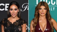 Melissa Gorga Reacts to Teresa Giudice's 'Strange' Reconciliation Offer: 'The Door Has Been Closed'