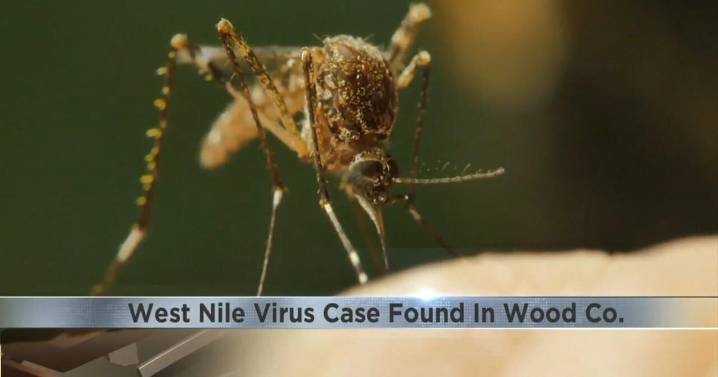 Wood county health officials confirms 1st human case of West Nile Virus of the year