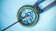 Fertility services firm Gaudium IVF re-files IPO with Sebi with a higher OFS portion