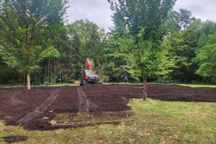 Plans Bloom for a Microforest in Princeton as New Jersey Residents Tackle Rising Heat