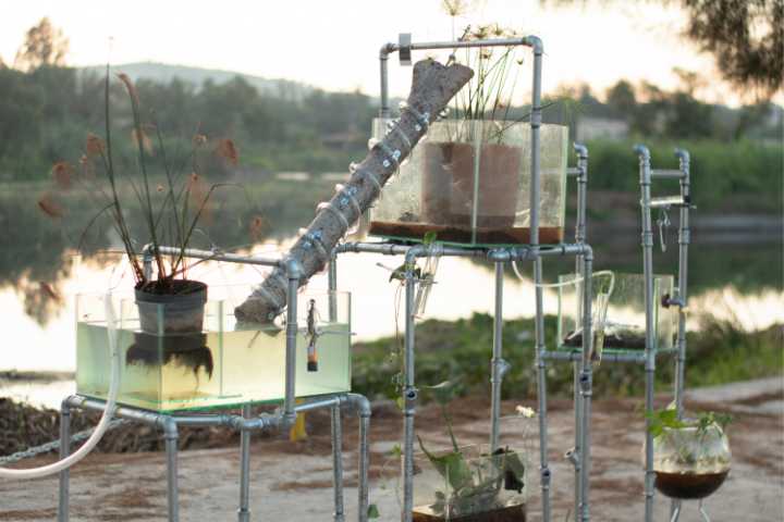 El MURA inaugura Transparencia ornamental