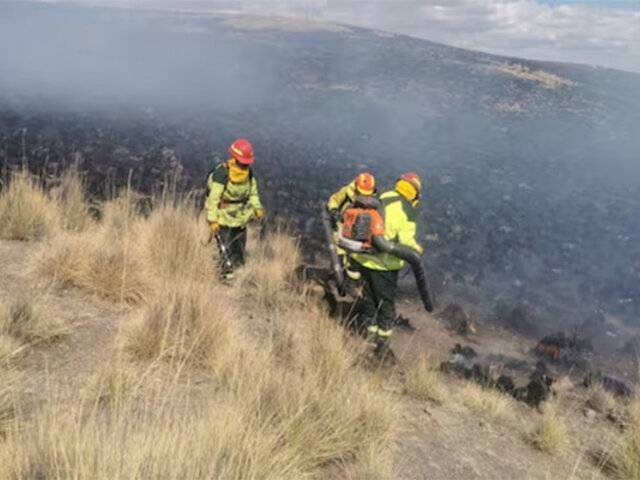 Incendio forestal arrasa bosques y sembríos en Huánuco: bomberos no logran controlar siniestro