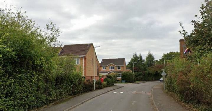 Knife-wielding man told dog walker he 'wanted to seriously harm someone' before 'calmly walking away'
