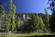 Más allá del tomillo y la sabina: las verdaderas plantas exclusivas que esconde Soria