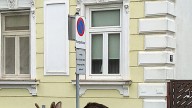 The adventures of Emil the moose keep a corner of Austria on its toes