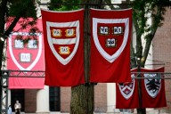 Jueza declara ilegal el bloqueo de fondos a Harvard por parte del Gobierno de Trump