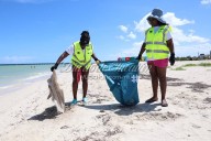 Más de 40 kilos de residuos retirados en el Día Mundial de Limpieza de Playas en Progreso