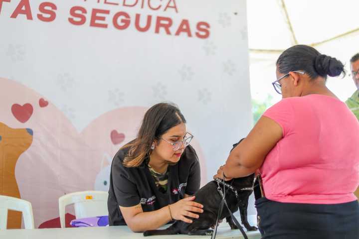 Imparable Gobierno de Reynosa por la salud de las mascotas