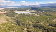 Bear attack on hiker closes trail in Yellowstone National Park