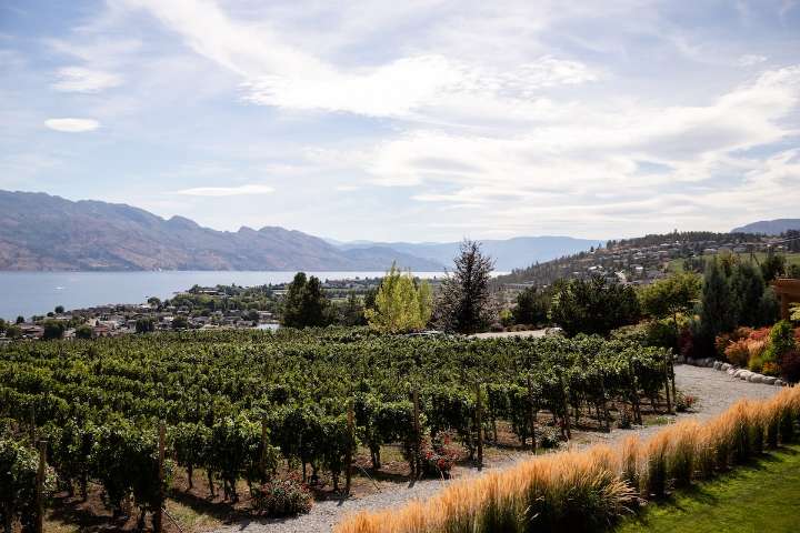 Whether you’re savouring the last of summer or rushing into autumn, there’s a wine for that