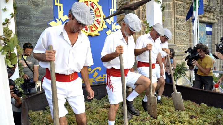 Catas, visitas, rutas, conciertos, pintura o magia para unas Fiestas de la Vendimia de Jerez en las que se celebra este martes La Pisa de la Uva