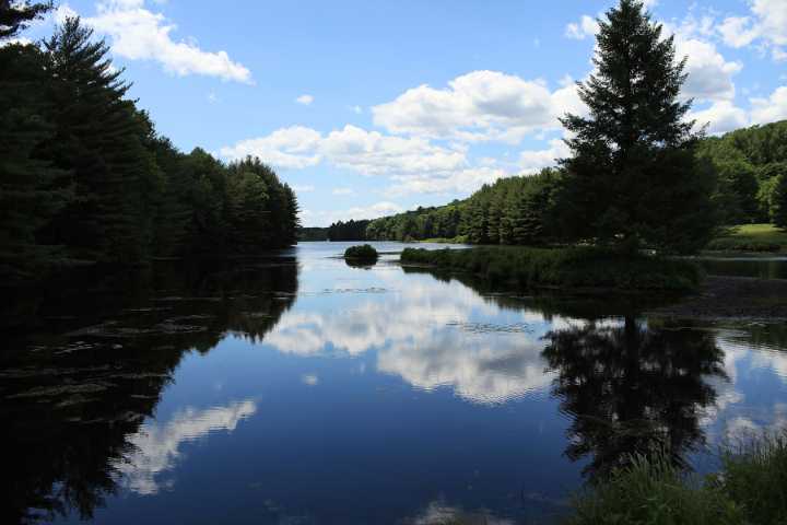 New forestry technique aims to improve resiliency
