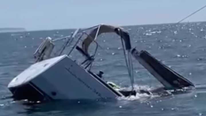 Un grupo de orcas ataca y hunde un velero en la costa de Portugal