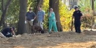 Human remains found in St. Louis