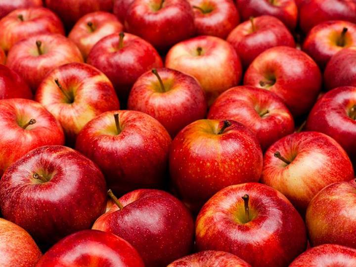 Kashmir’s Apple Industry at Risk, Warns Former Horticulture Officer