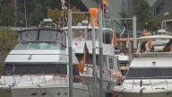 Vol Navy celebrates another UT football