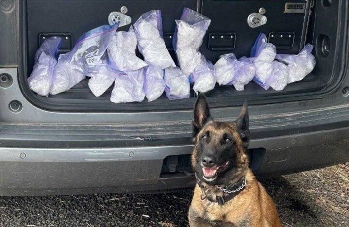 Portland Police Stop Drugs Worth $2M Entering City As Arrests Follow Overdose Investigation