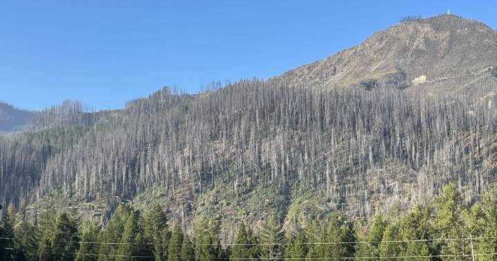 Foley Ridge Fire reaches 46% containment at 497 acres