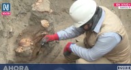 Descubren restos de la cultura Ichma en obras de Surco