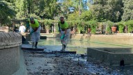 Sevilla cierra el Parque de María Luisa, es el cuarto parque clausurado por posibles casos de gripe aviar