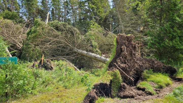 Evers asks Trump for Door County disaster declaration for Aug. 9 storm damages
