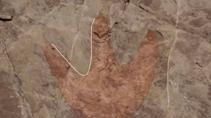 ¿Encuentran nueva huellas de dinosaurios en México? INAH indaga hallazgo en Puebla