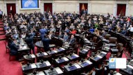 Ahora: la Cámara de Diputados debate los vetos al Garrahan y al financiamiento universitario