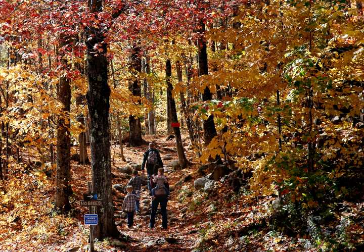 Fall Equinox Explained: Five Things To Know