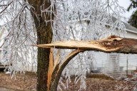 UM research flight captures the shape of ice storm damage, predicts climate change disturbance